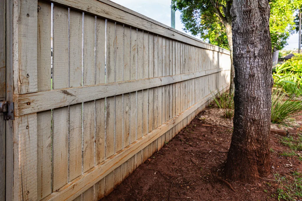 Fence Gate Painting